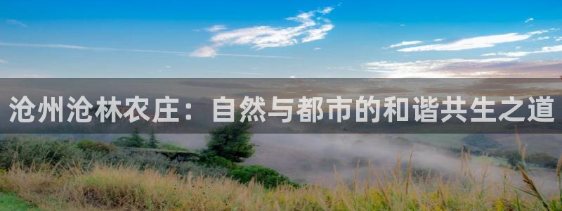 fh至尊官方网站