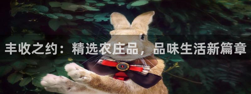 fh至尊在哪个平台