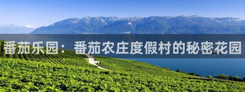 fh至尊凤凰官方旗舰店