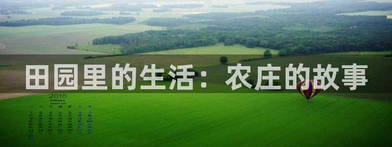 FH至尊平台老板是谁