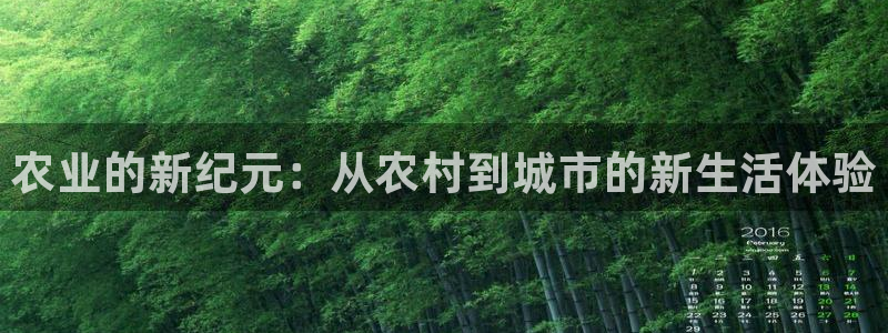 fh至尊平台多少年了