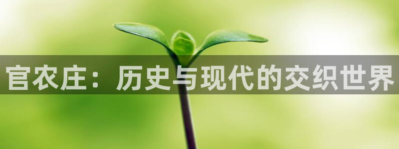 fh至尊平台怎么提现