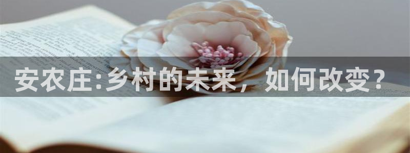 fh至尊平台简介