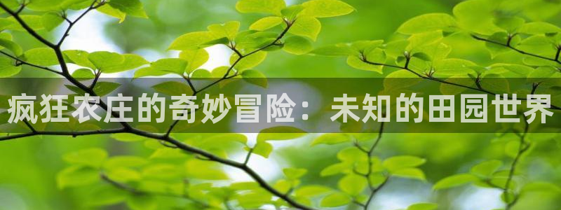 fh至尊游戏模式