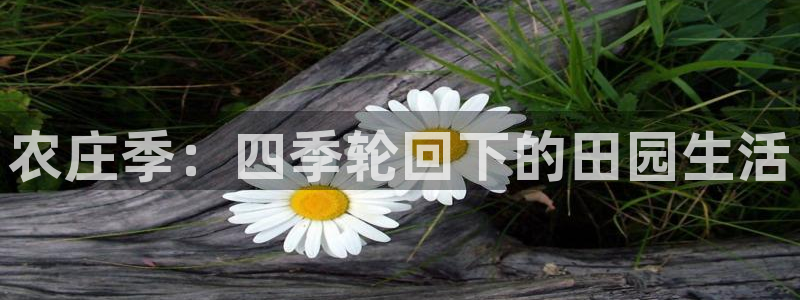 fh至尊正规吗
