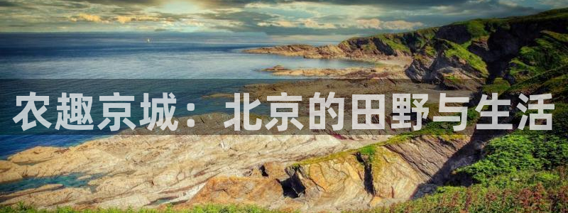 FH至尊登录官网