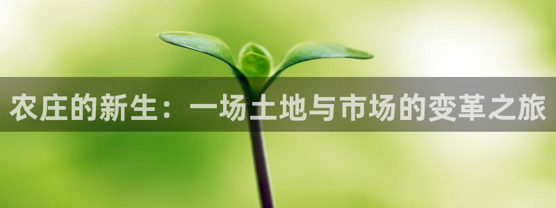 fh至尊游戏模式