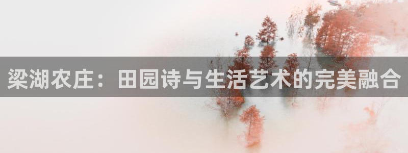 FH至尊VIP