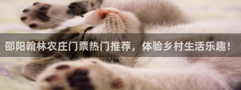 fh至尊app靠谱吗