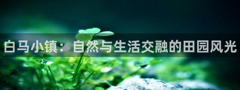 FH至尊黑钱