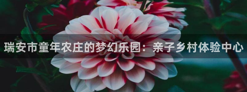 老凤凰改名FH至尊黑钱