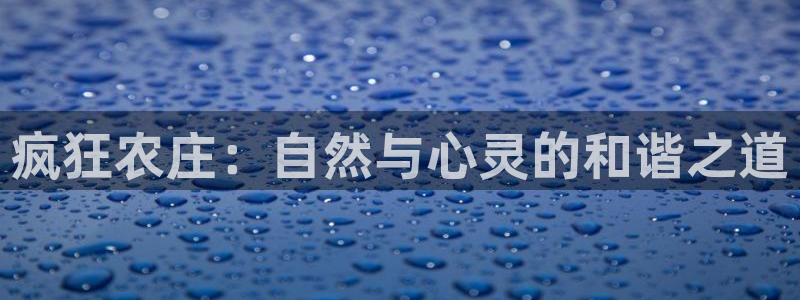 老凤凰改名FH至尊黑钱