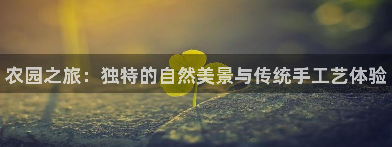 fh至尊怎么改密码