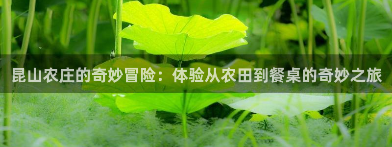 fh至尊凤凰平台下载