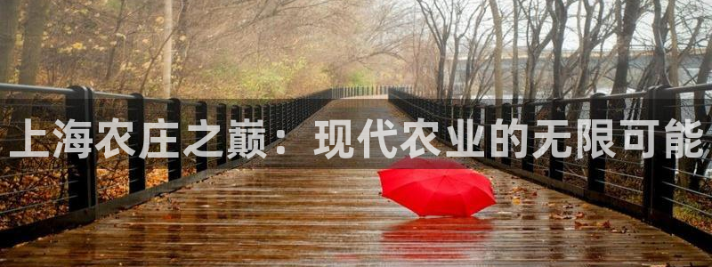 fh至尊平