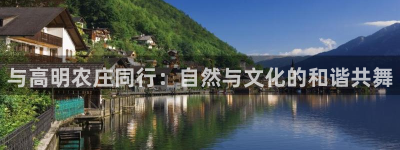 fh至尊平台网页地址
