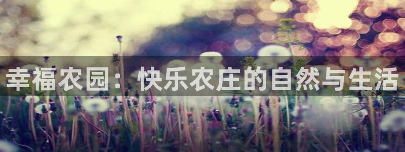 fh至尊是不是假的