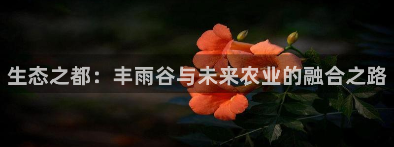 FH至尊版地址