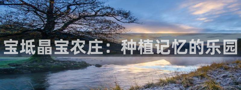 fh至尊提现不了