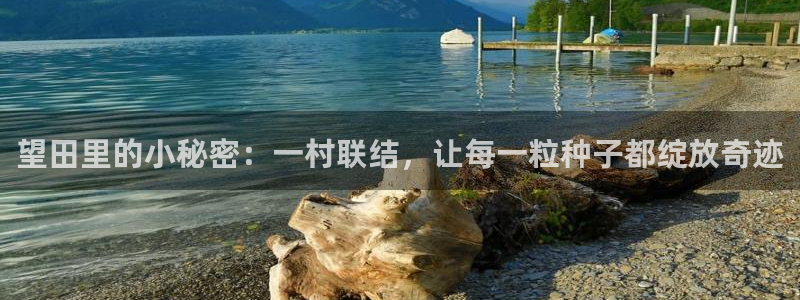 FH至尊娱乐