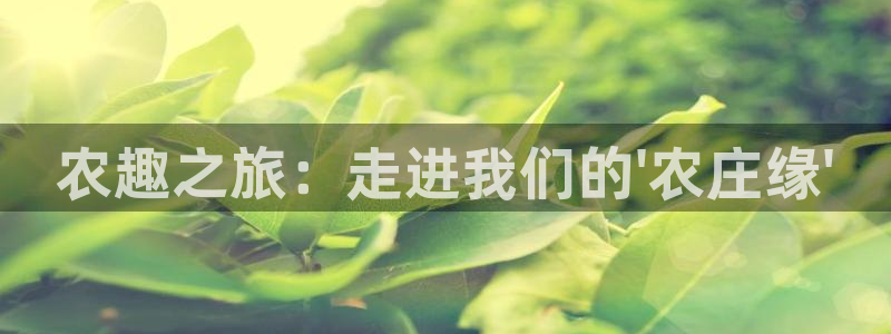 凤凰娱乐FH至尊App