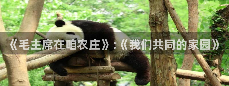 fh至尊凤凰平台下载