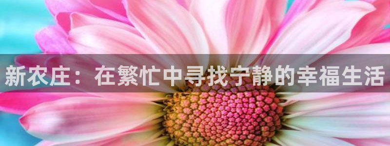 FH至尊app