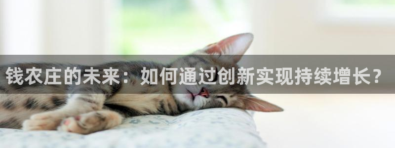 fh至尊闪退