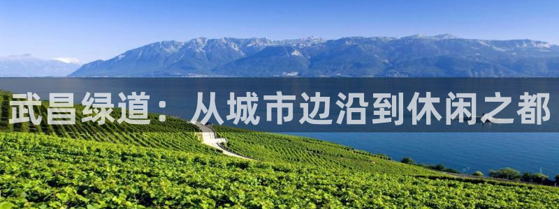 至尊FH下载