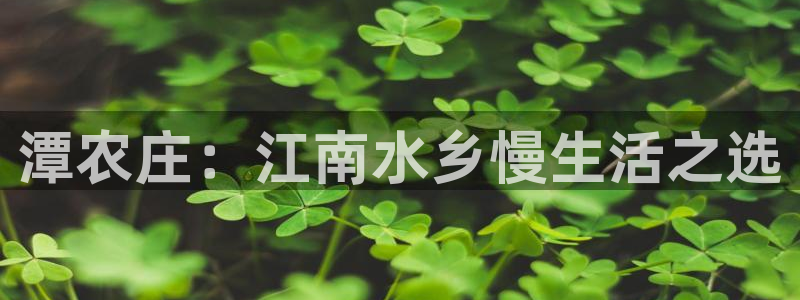fh至尊是老凤凰吗