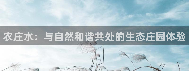 fh至尊是老凤凰平台吗