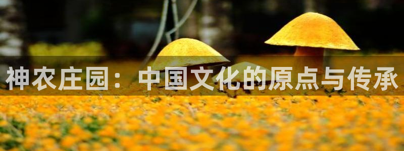 fh至尊是凤凰平台么