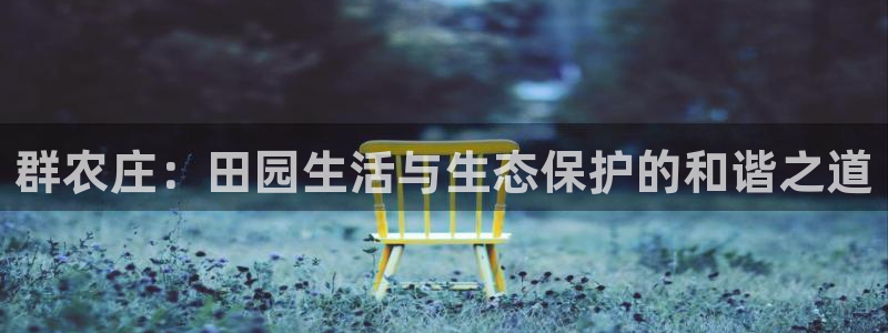 凤凰FH至尊