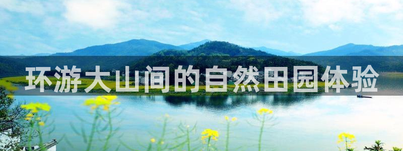 FH至尊登录不了