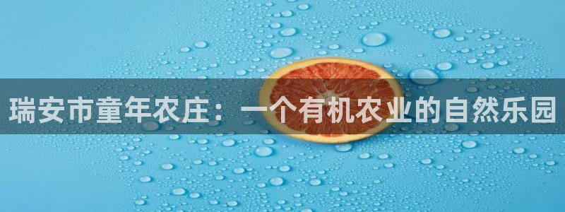 fh至尊诚信19年