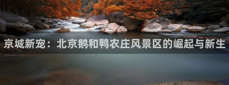 FH至尊平台怎么样