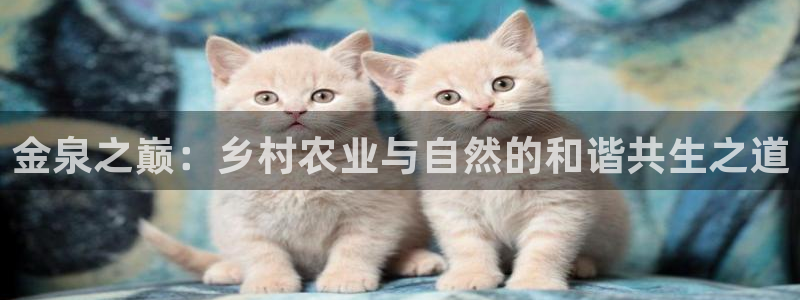 凤凰娱乐FH至尊地址