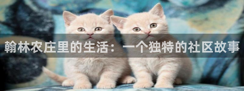 FH至尊娱乐平台