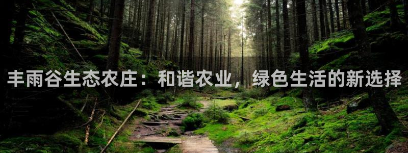 FH至尊娱乐下载二维码