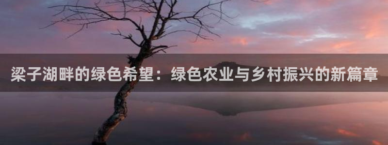 fh至尊什么意思
