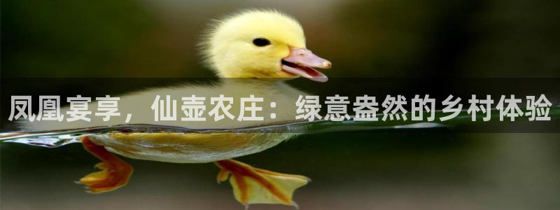 fh至尊凤凰官方旗舰店