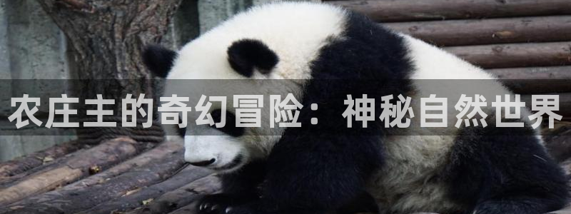FH凤凰至尊娱乐