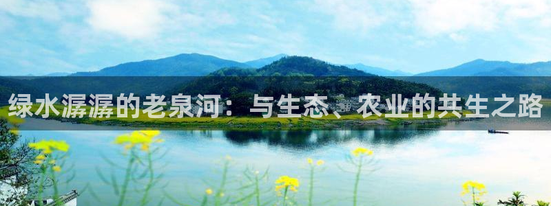 fh至尊网页登入