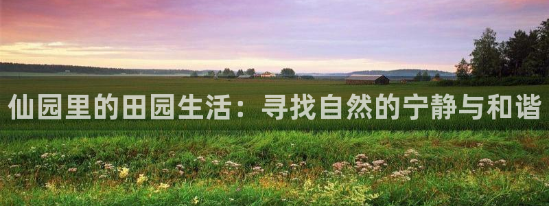 FH至尊平台怎么样