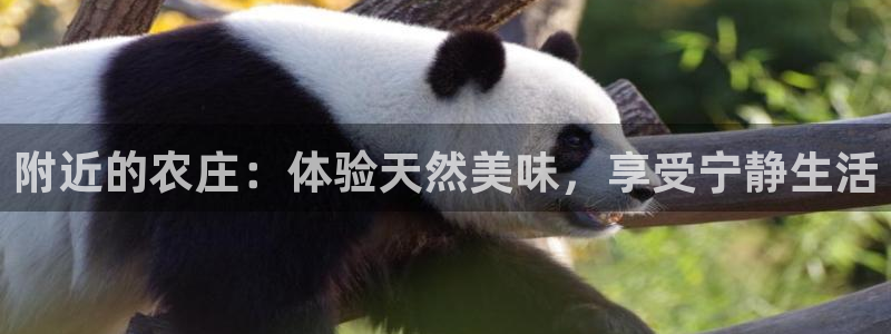 凤凰娱乐FH至尊