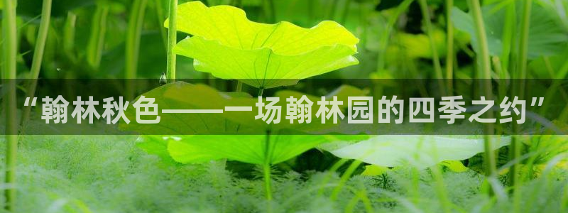 fh至尊闪退