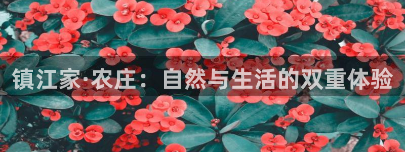 fh至尊游戏模式