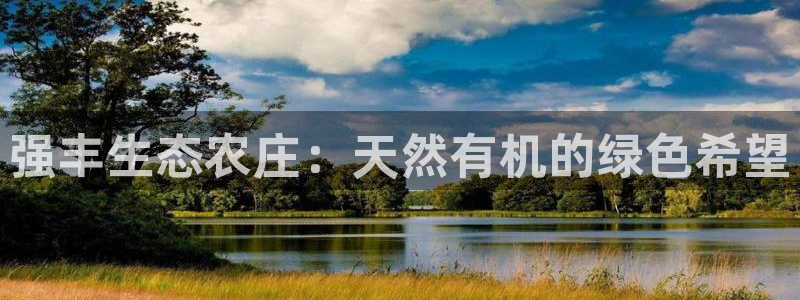 FH至尊平台怎样