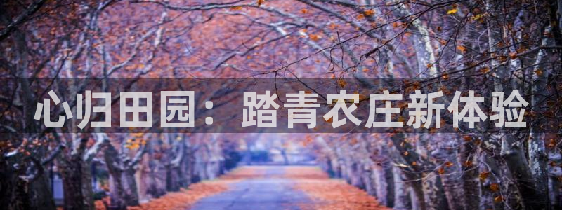 fh至尊安全吗