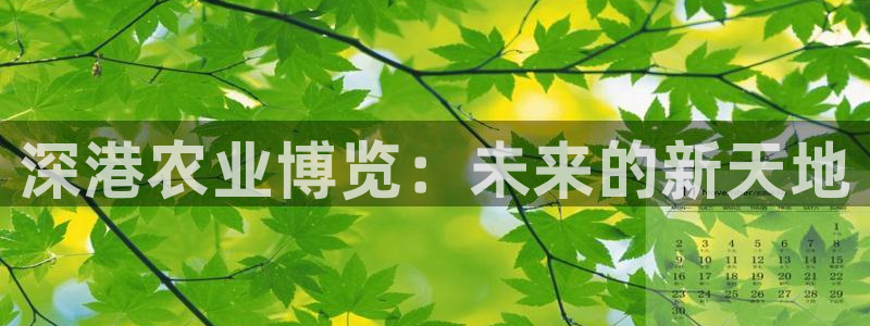 fh至尊安全吗